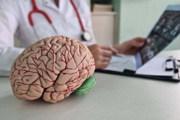 Understanding the Role of Neurosurgery in Treating Brain and Spine Tumors